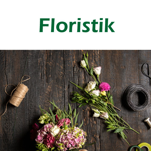 Floristik Fromm
